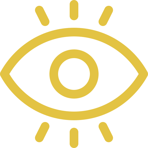 Our Vision